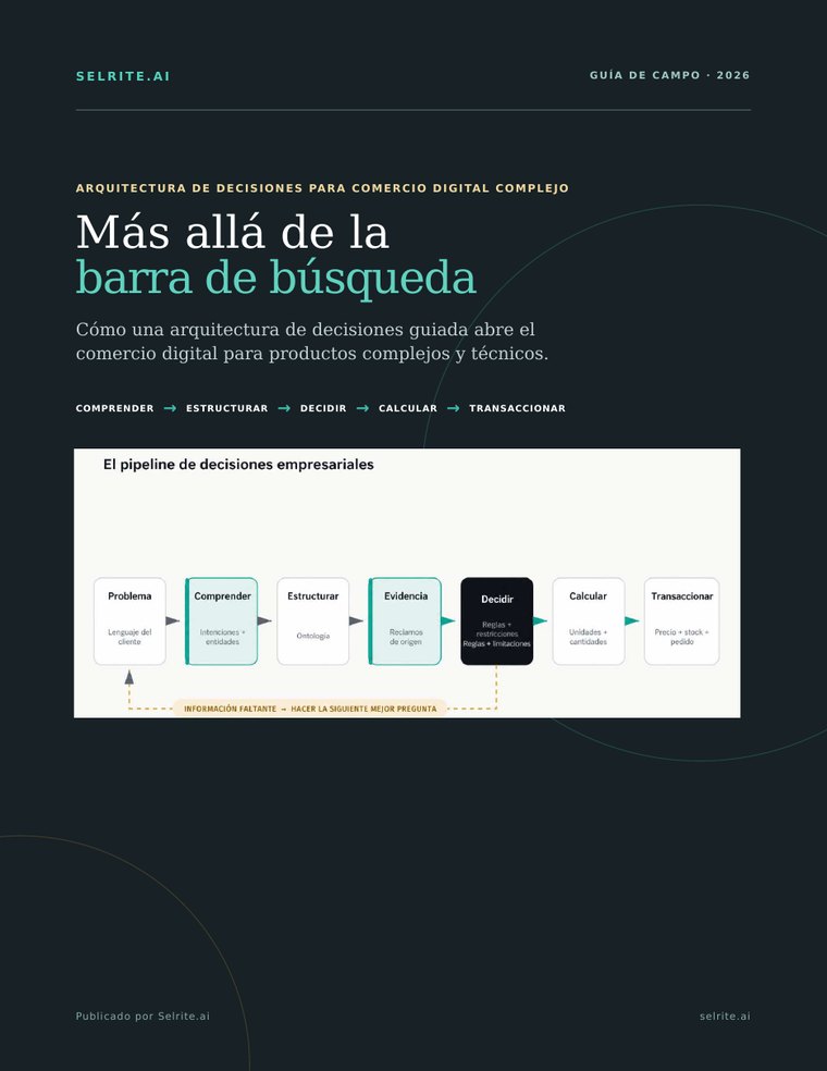 Portada de la guía de campo de Selrite Más allá de la barra de búsqueda, con la canalización de decisiones empresarial